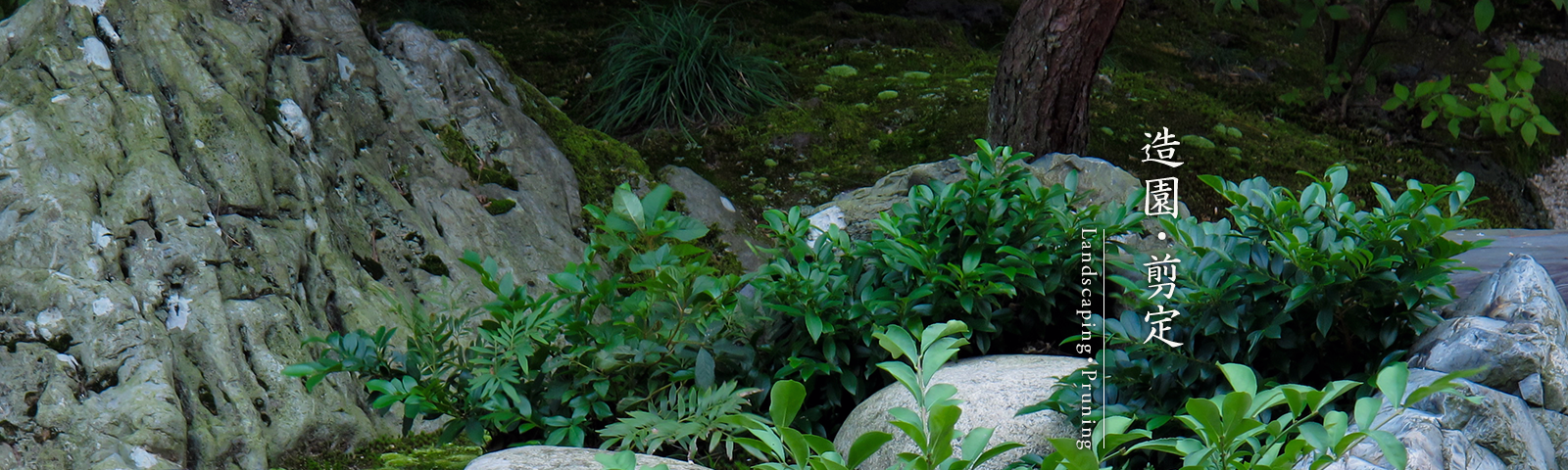 造園・剪定