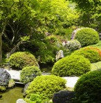 剪定　岐阜県関市