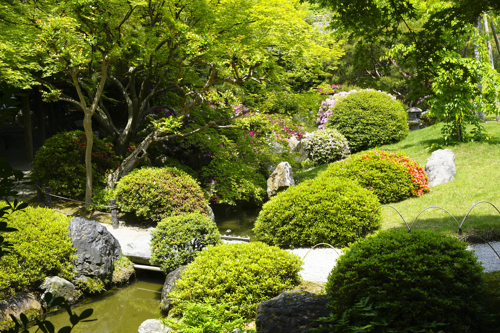 æ¥æ¬åº­å